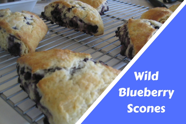 Wild Blueberry Island Scones