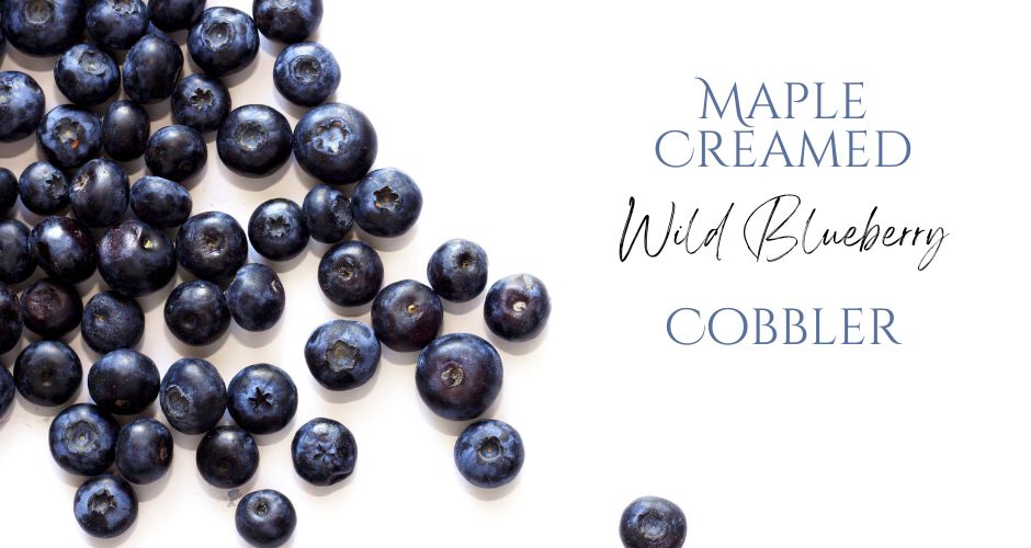 Maple Creamed Wild Blueberry Cobbler