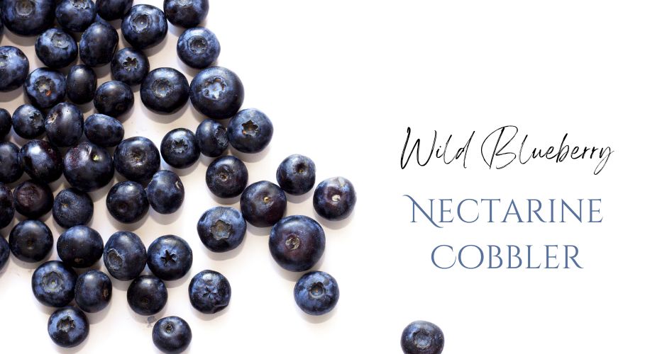 Wild Blueberry Nectarine Cobbler