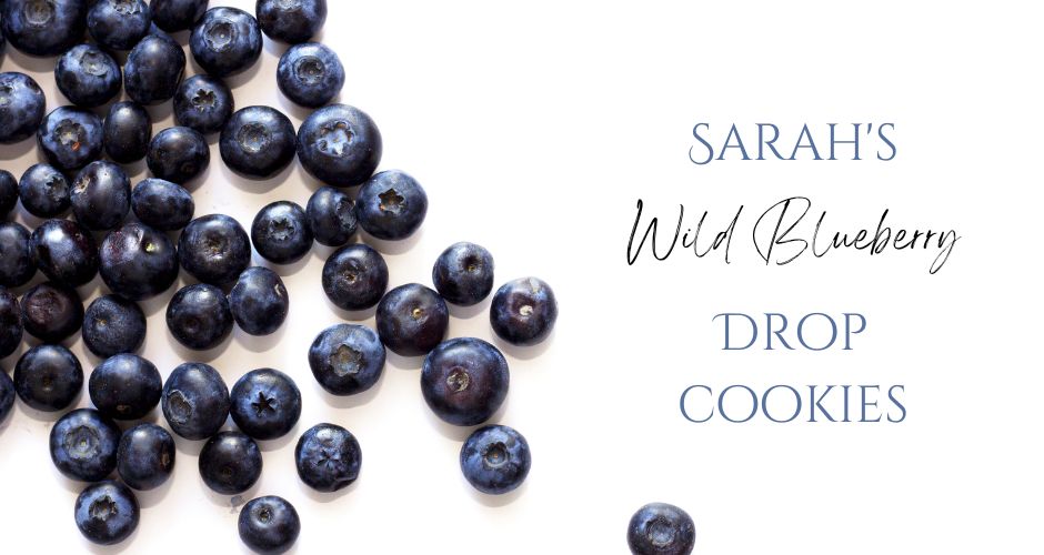 Sarah’s Wild Blueberry Drop Cookies