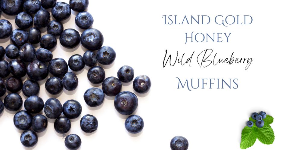 Island Gold Honey Wild Blueberry Muffins