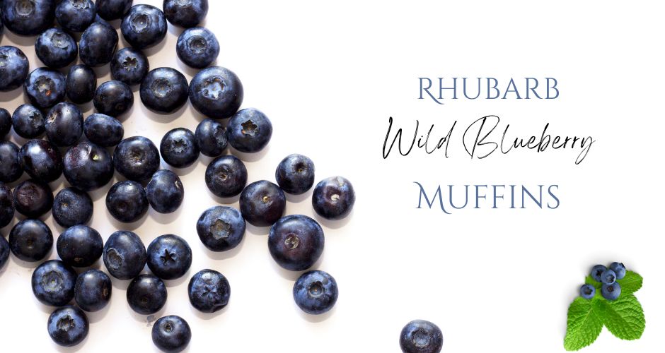 Rhubarb Wild Blueberry Muffins