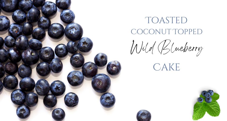 Toasted Coconut Topped Wild Blueberry Cake